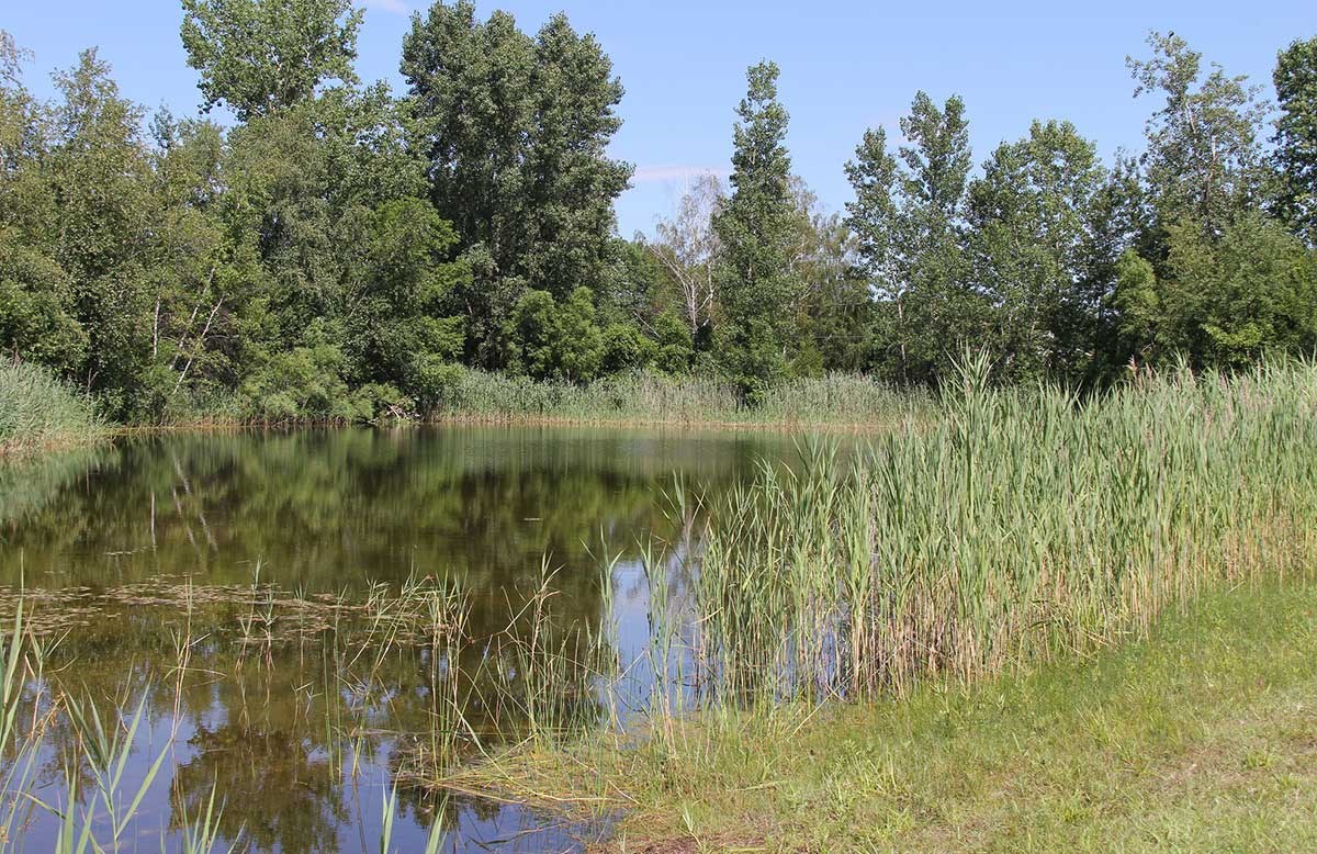 Bénévoles recherchés pour une corvée communautaire au parc naturel des Parulines