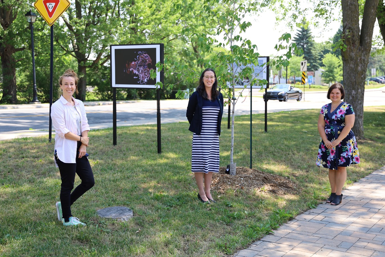Le Club de photo l’Iris de Chambly expose au parc Fréhel