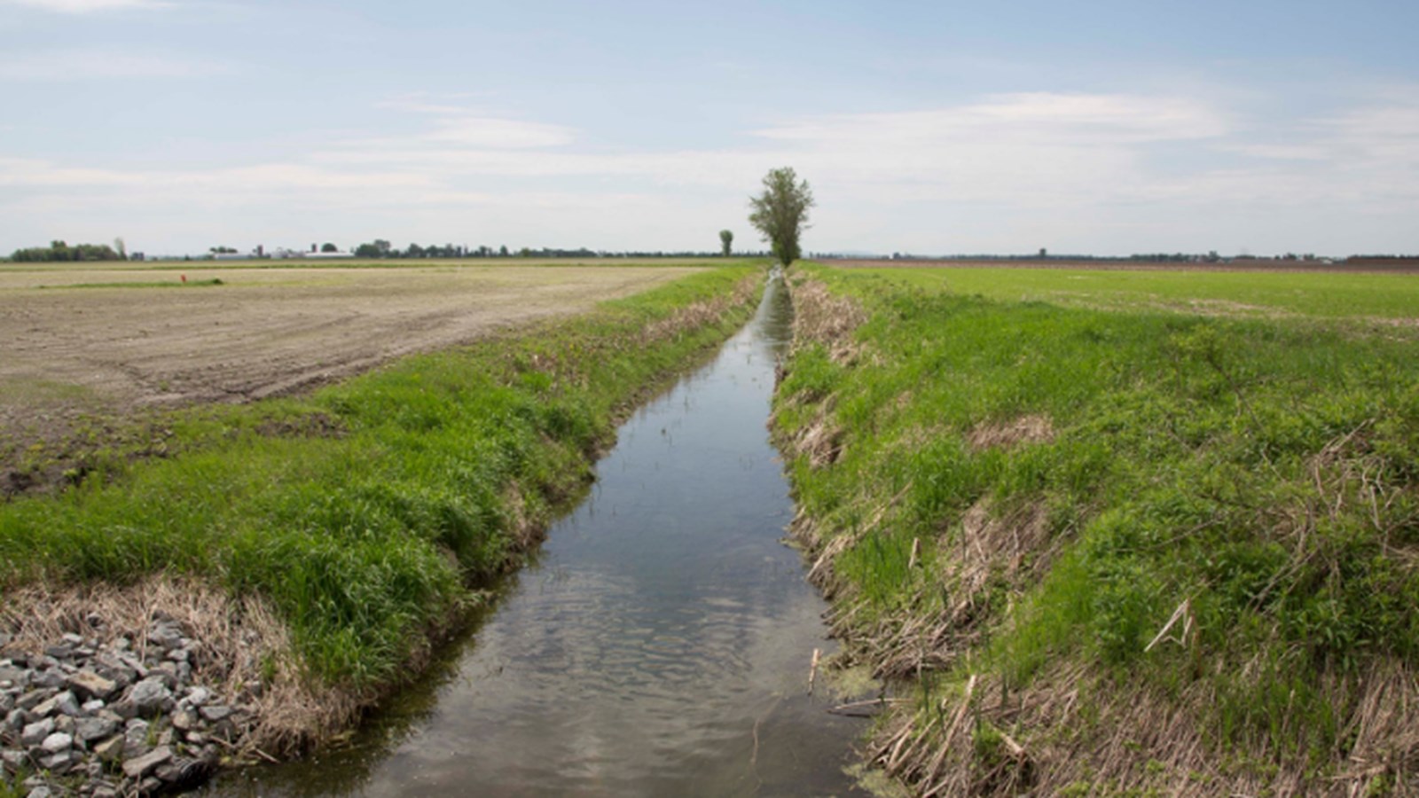 80 000$ pour le déploiement de l'Opération eau douce de l'UPA