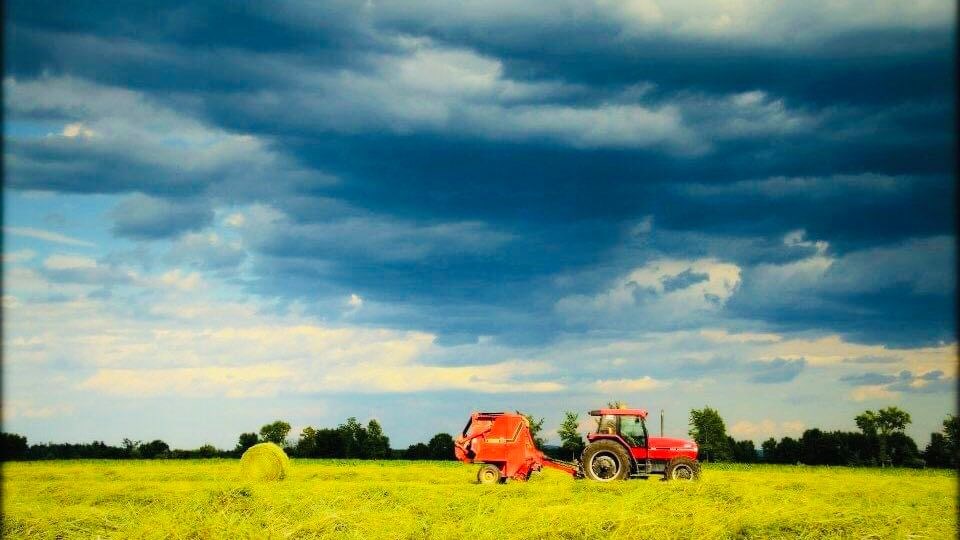 Veille d'orages violents pour Vallée-du-Richelieu