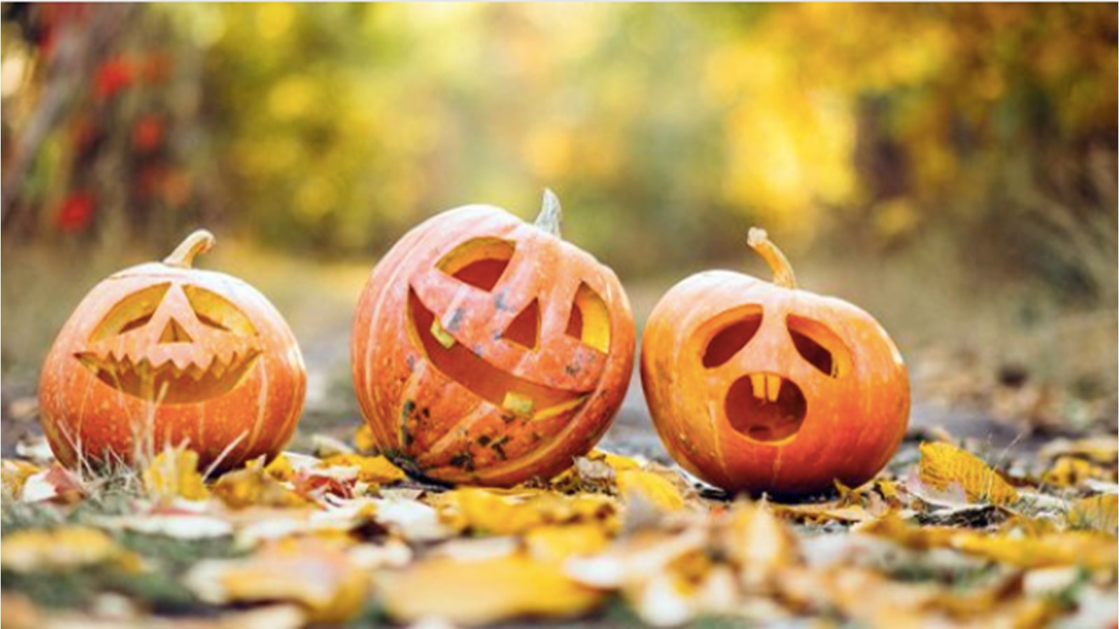 Halloween : une programmation hautement amusante dans le Vieux-Saint-Jean