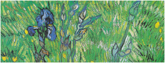 Voir « Van Gogh. De près » à Ottawa