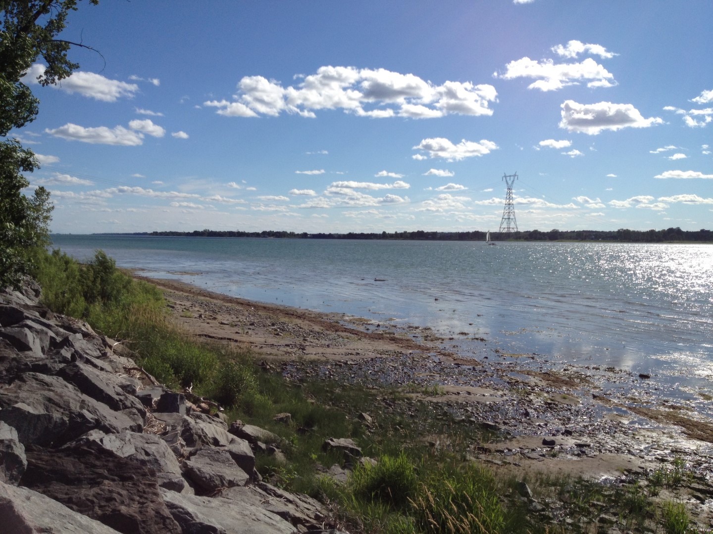 Un parc à chiens pourrait voir jour à Sorel-Tracy en 2013
