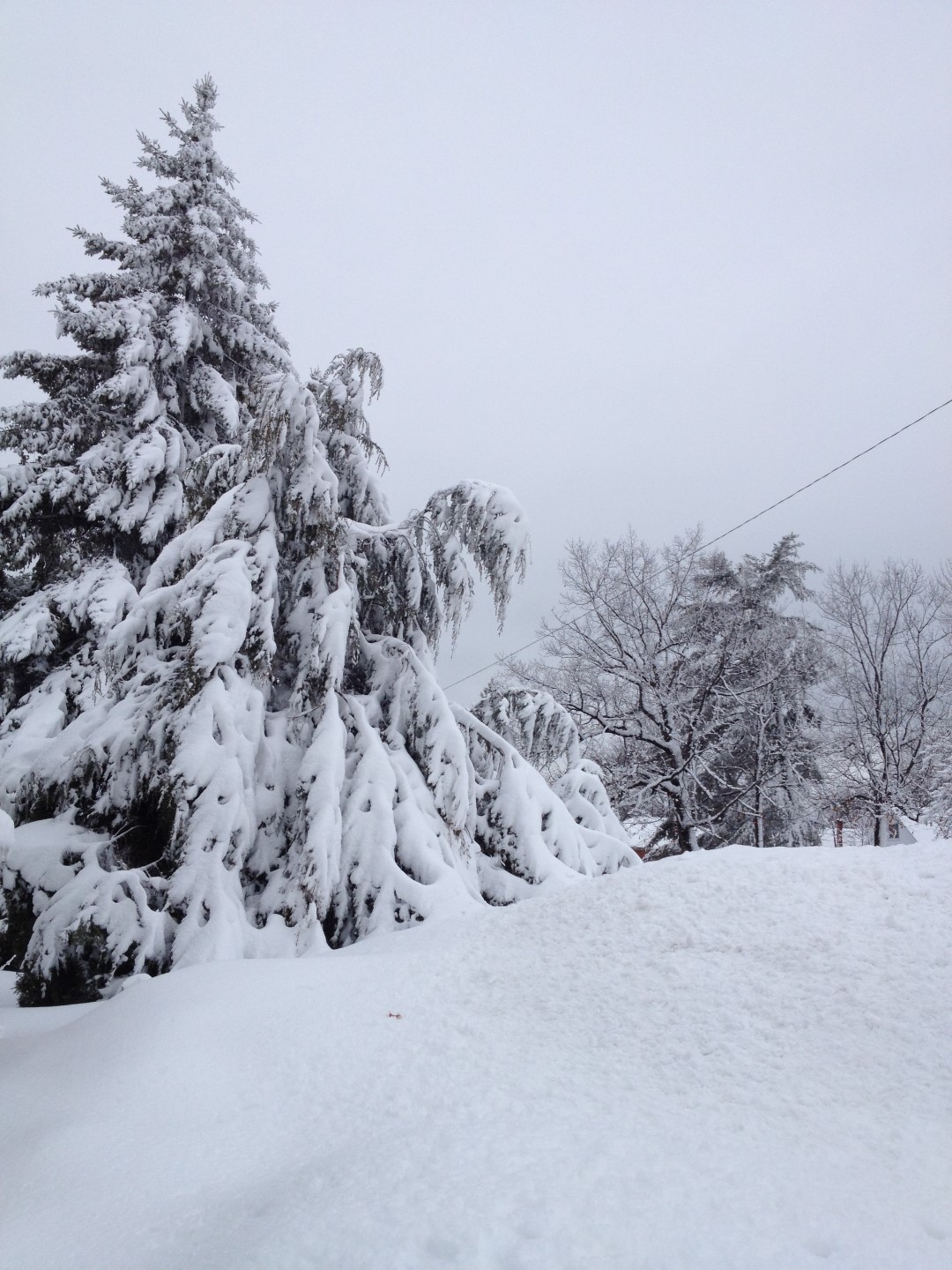 La neige fait des dégâts