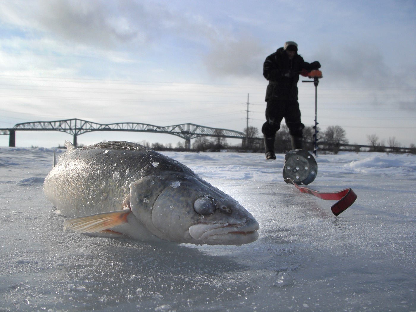 Les pêcheurs voient déjà une nette amélioration