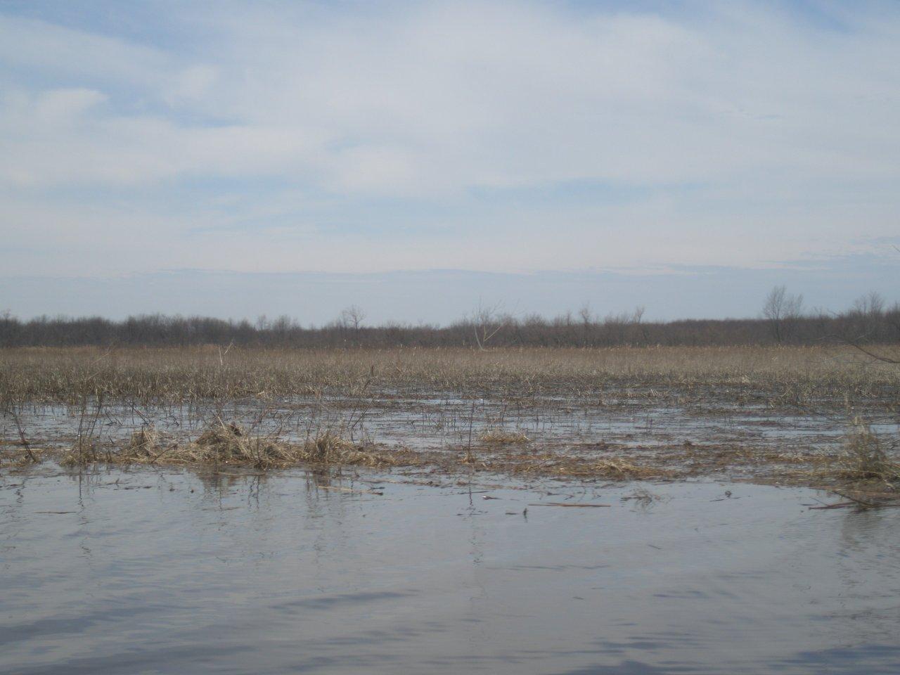 Baie Lavallière : il n'est pas trop tard