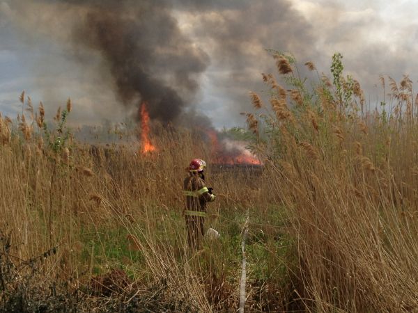 Feu de broussaille : Des impacts mineurs sur l’agriculture