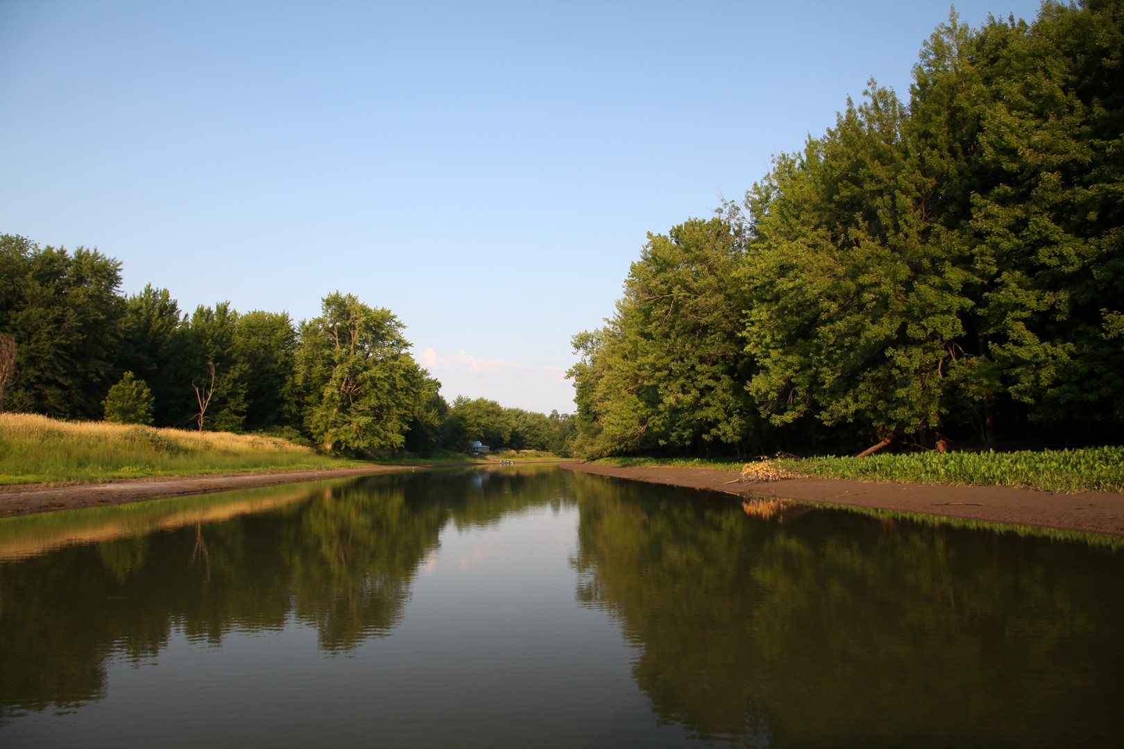 Plan de match pour la biodiversité
