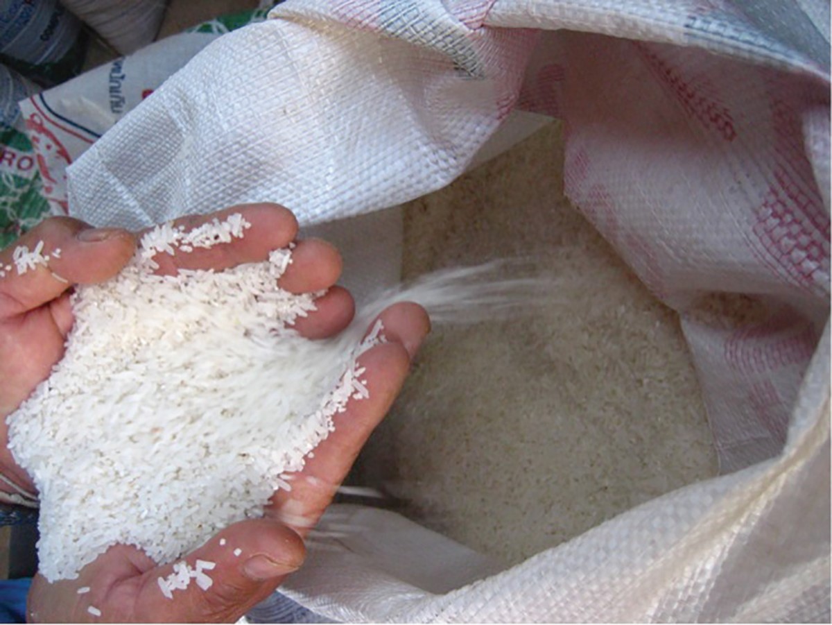 Des variétés de riz destinées aux agriculteurs les plus pauvres