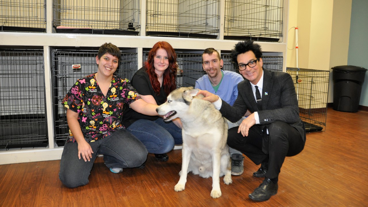 Sorel-Tracy a enfin un refuge animalier