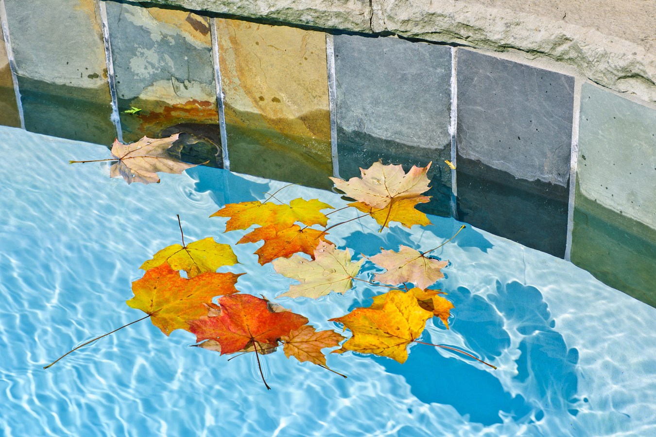 L’hivernage de la piscine