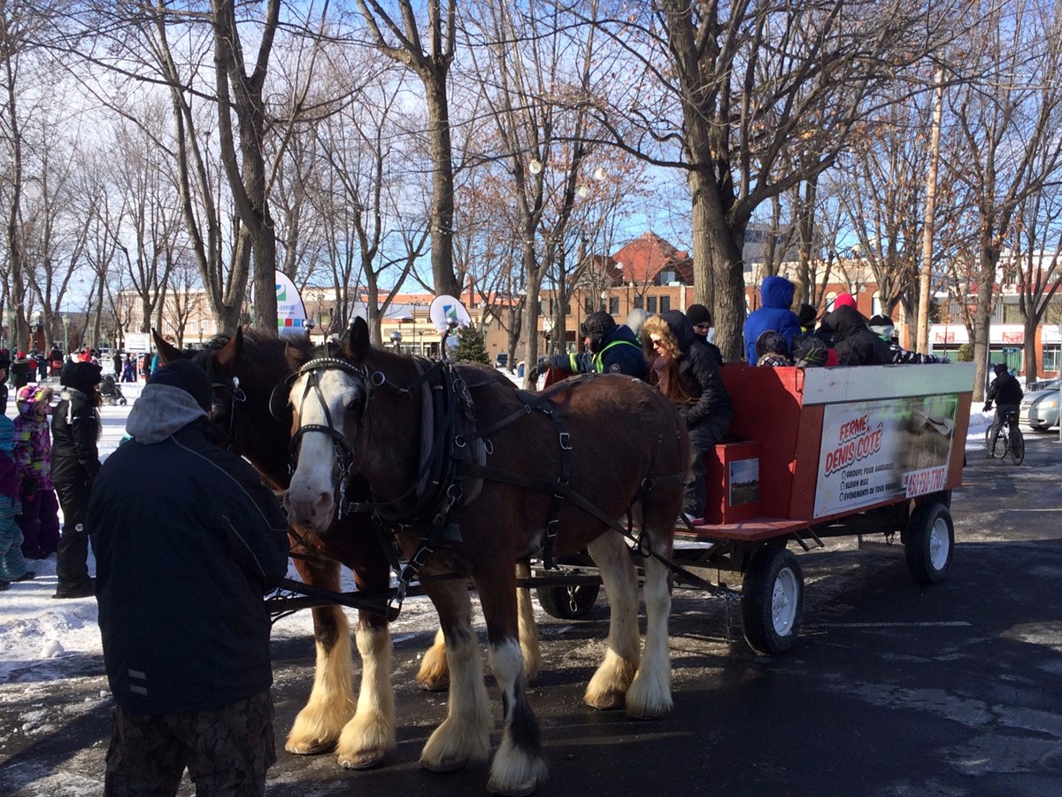 Les Plaisirs d’hiver de la Ville de Sorel-Tracy seront de retour au carré Royal