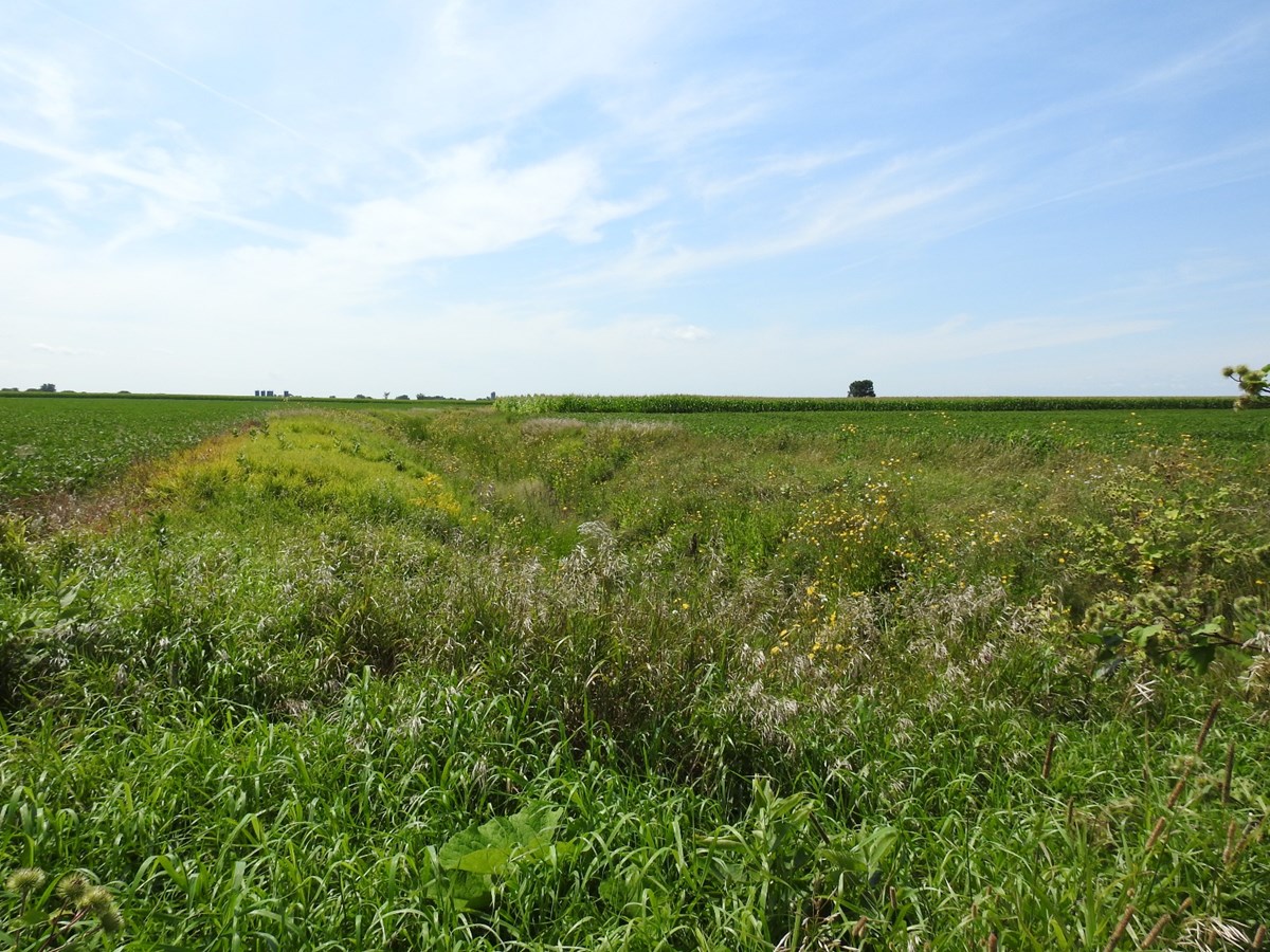 La MRC de Pierre-De Saurel lance le concours L’agroenvironnement… c’est mon affaire!