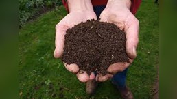 Distribution de compost gratuit