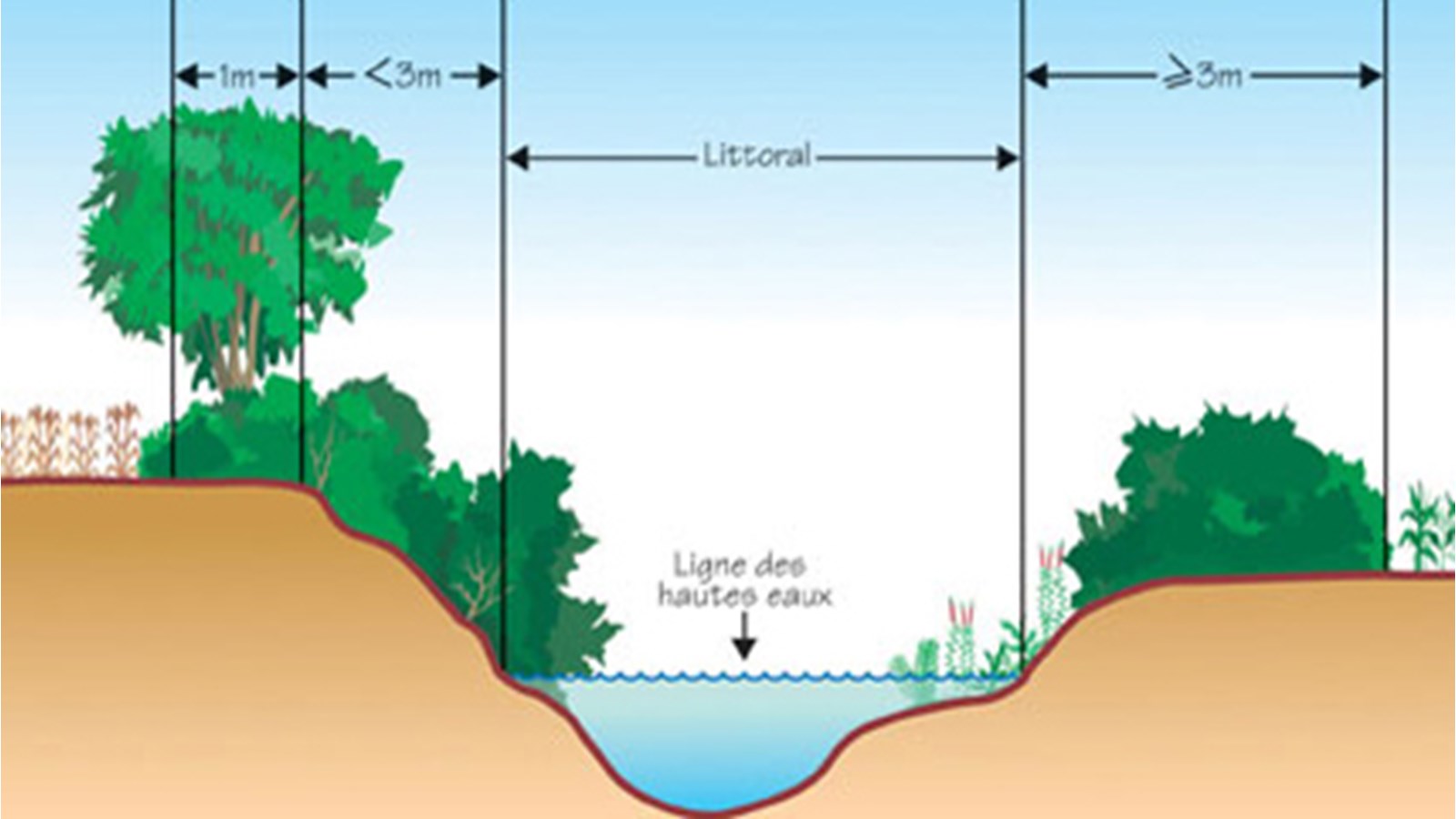 Avez-vous fait caractériser vos bandes riveraines ? 