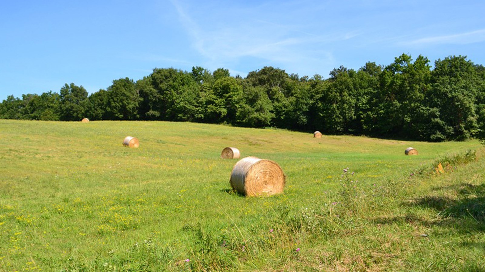 15 hectares de terres agricoles aménagés en 2018 et toujours en croissance 