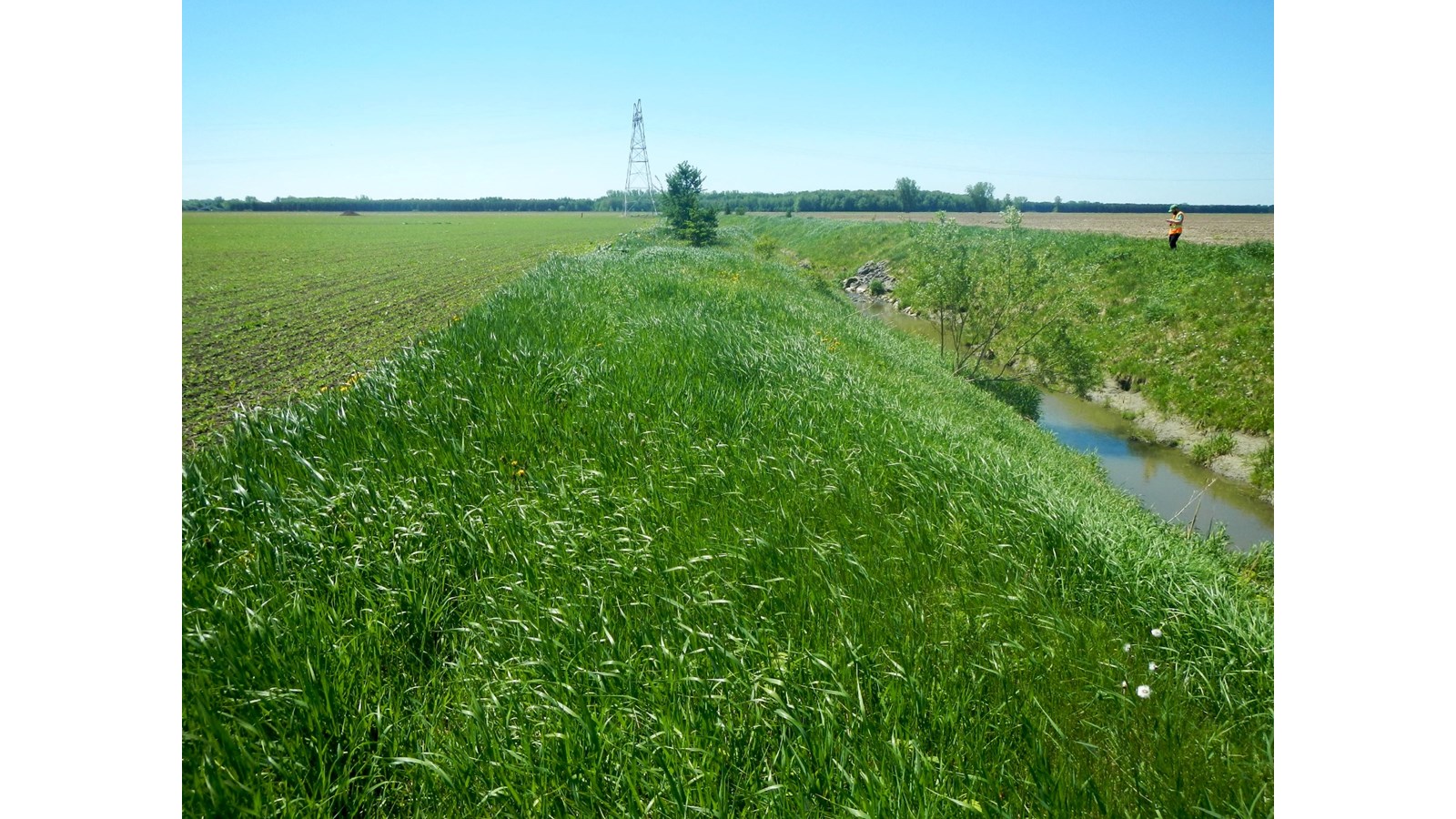 Bilan de la caractérisation des bandes riveraines menée en 2018