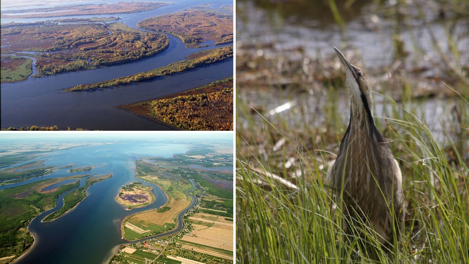 Conservation de la nature Canada sensibilise les citoyens dans les îles du lac Saint-Pierre