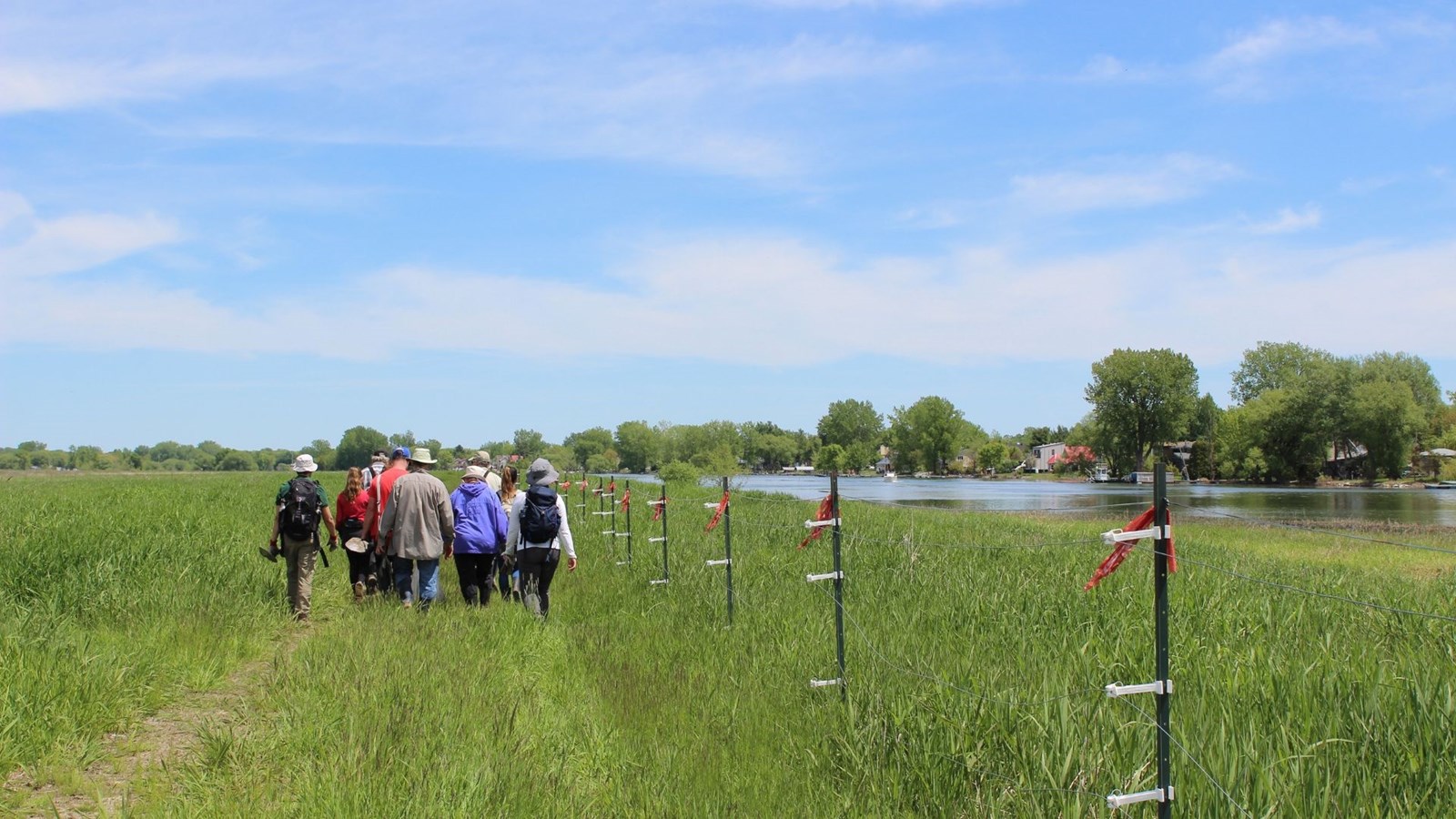 Des citoyens ont participé à un projet de restauration du patrimoine naturel à l’île du Moine
