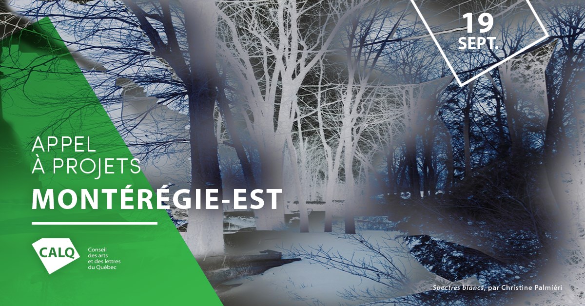 Rencontre d’information pour un appel à projets du CALQ en partenariat avec la Montérégie-Est