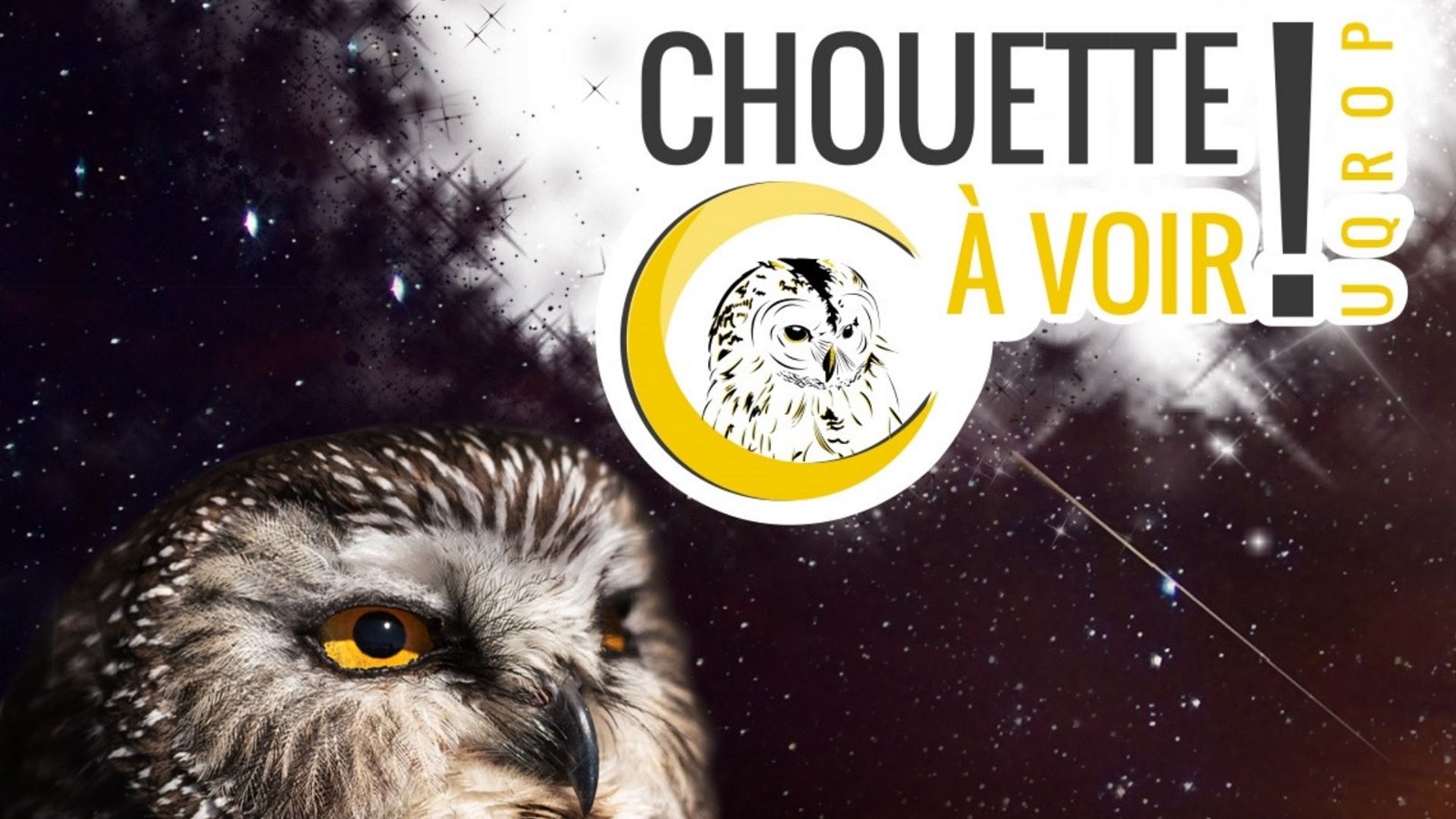 Des étoiles plein les yeux à Chouette à voir!