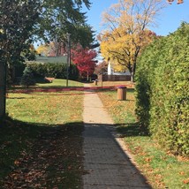 Travaux en cours dans les parcs Chalifoux, Mgr-Nadeau, Terrasse-Duvernay et des Bateaux Blancs