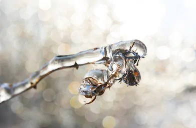 Neige: un nouvel avertissement en vigueur