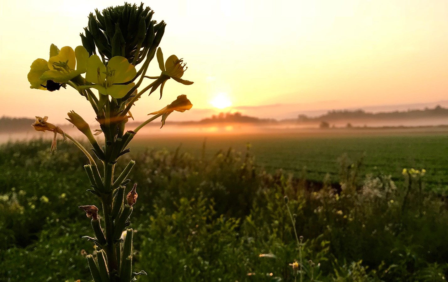 Préparer l’adaptation des fermes aux changements climatiques, le plan du forum régional Agriclimat