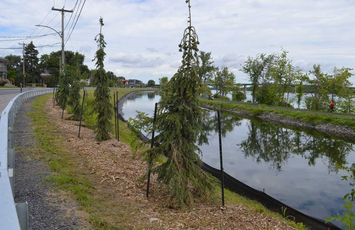 Travaux sur le Canal de Chambly : une opportunité pour bonifier l’aménagement urbain environnant