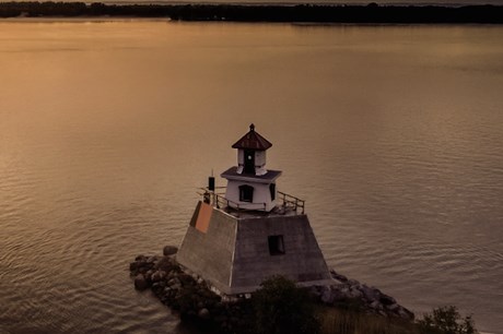 Une nouvelle publication du Biophare met en valeur la faune du Saint-Laurent
