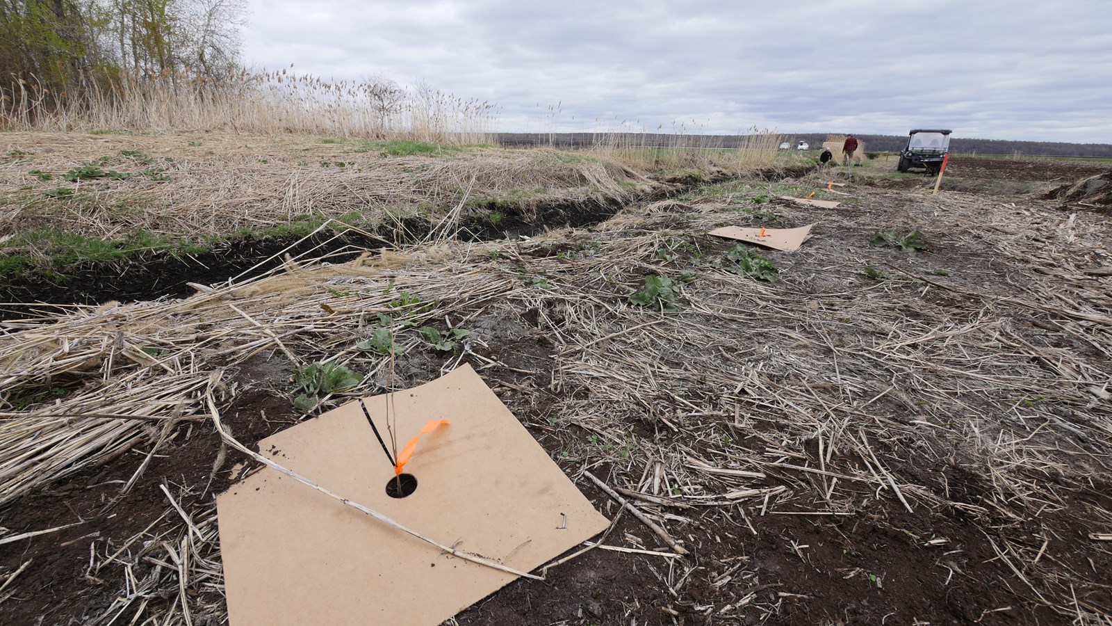 L’OBV Yamaska veut planter 2000 végétaux par année 