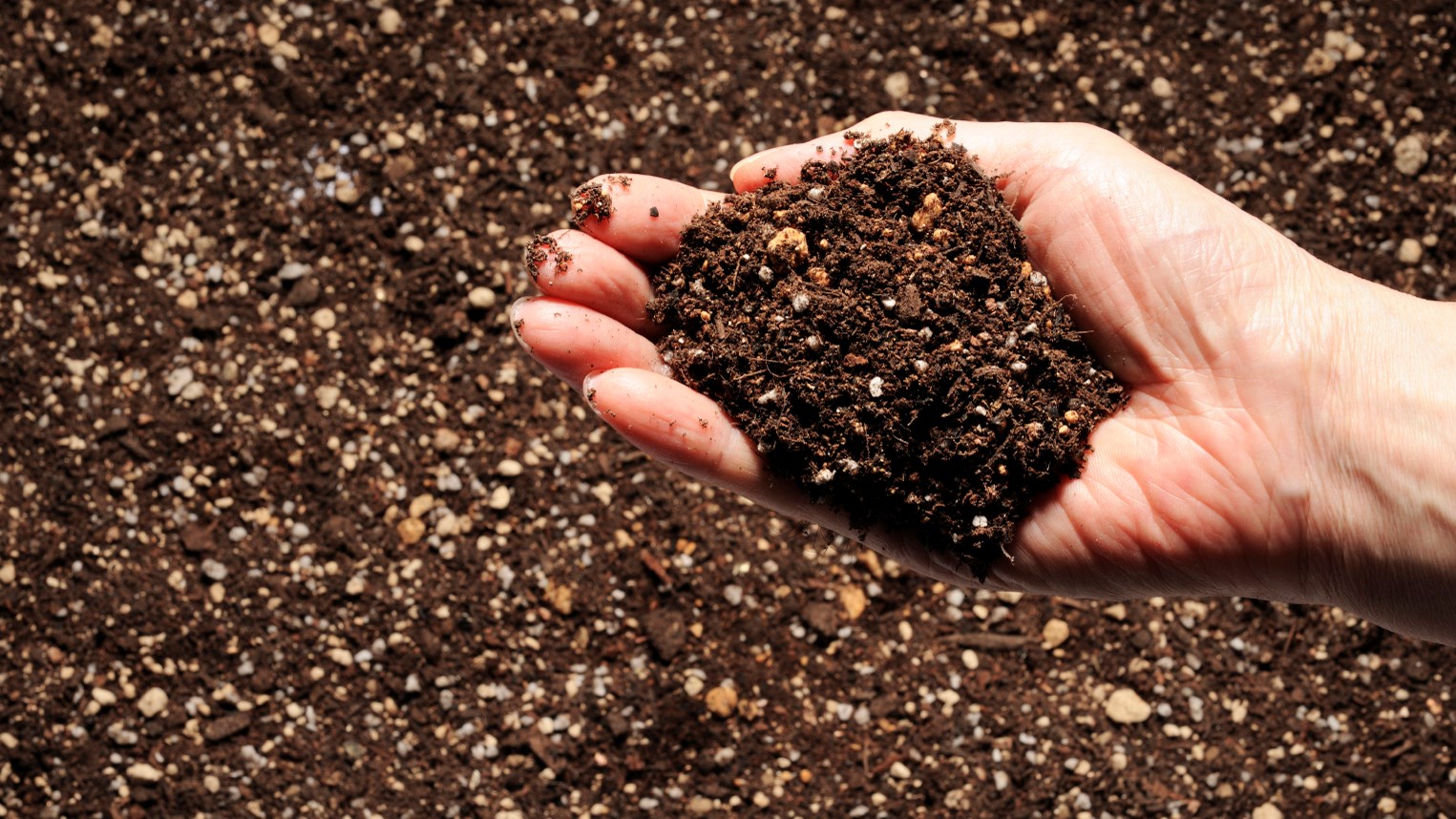 Distribution régionale et gratuite de compost 