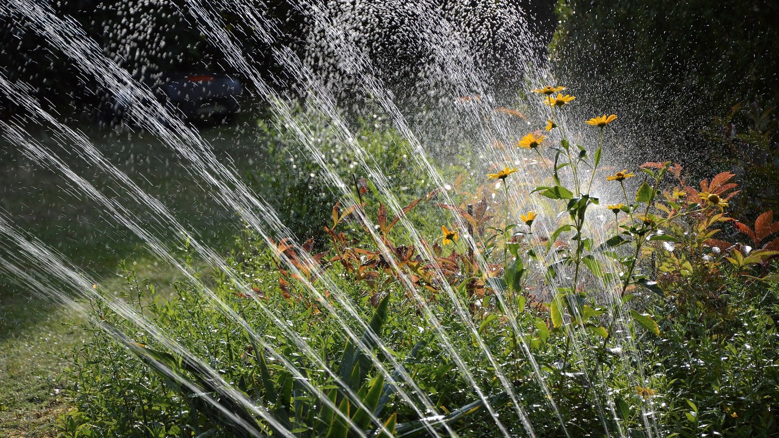 Forte augmentation de la consommation d’eau à Sorel-Tracy
