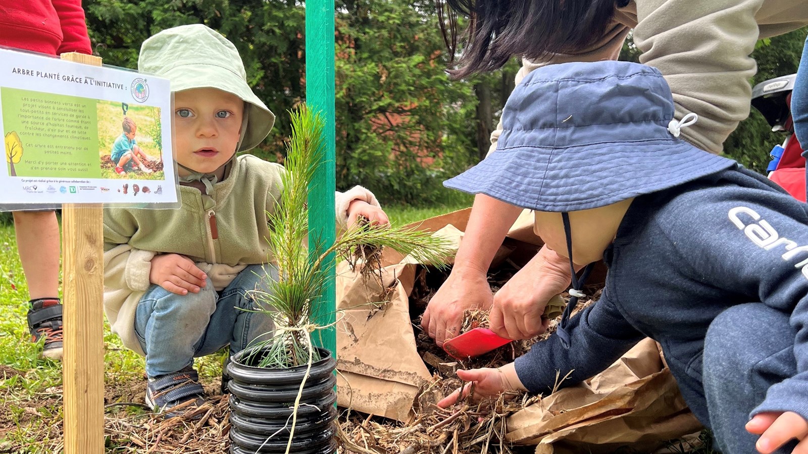 Plantation de plus de 50 arbres par les tout-petits de la MRC de Pierre-De Saurel