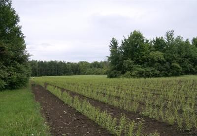 Projet Salix: un litige entre Boisbriand et des expropriés pourrait faire jurisprudence