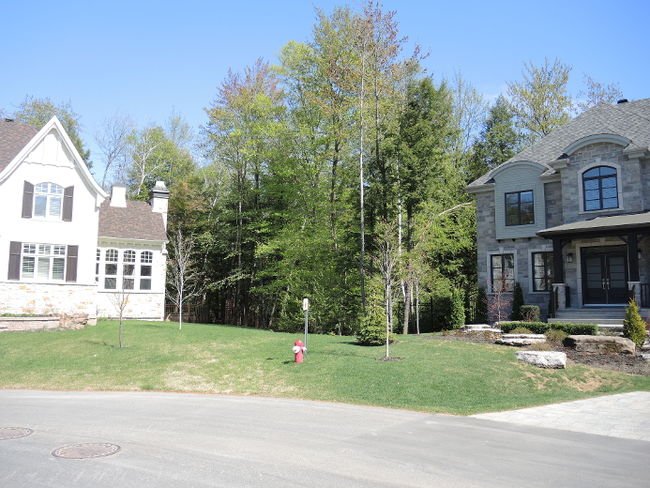 Le secteur Rosemère de la forêt du Grand Coteau pourrait bientôt accueillir un nouveau projet immobilier.