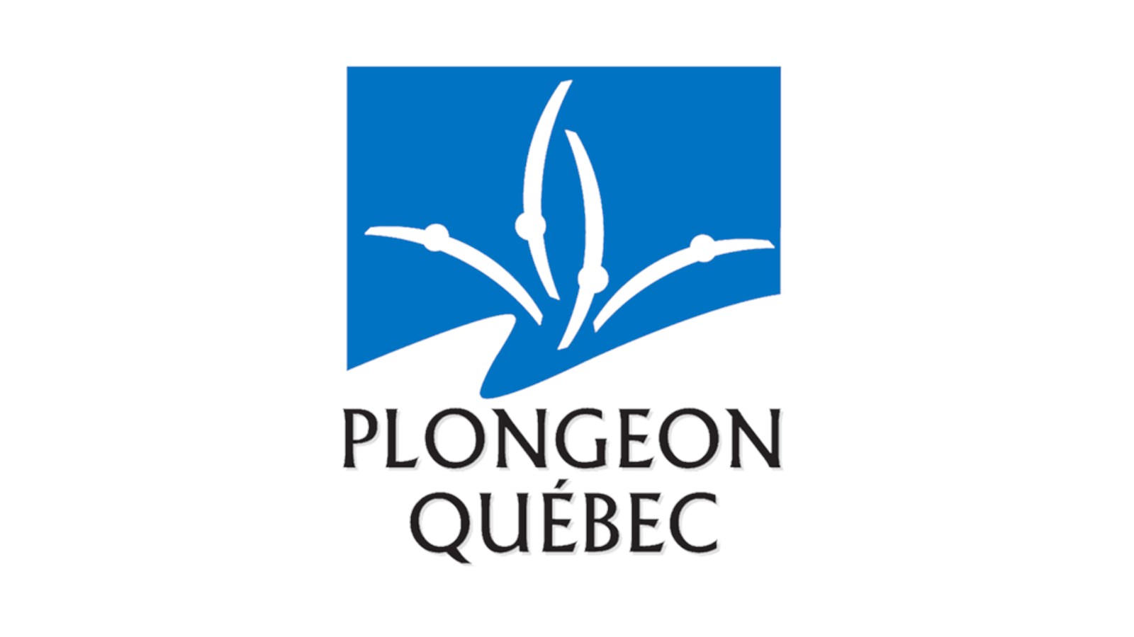Le Club de plongeon l'Envol accueillera le championnat provincial Espoir