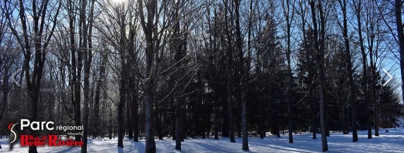 Le temps des sucres au Parc régional du bois de Belle-Rivières