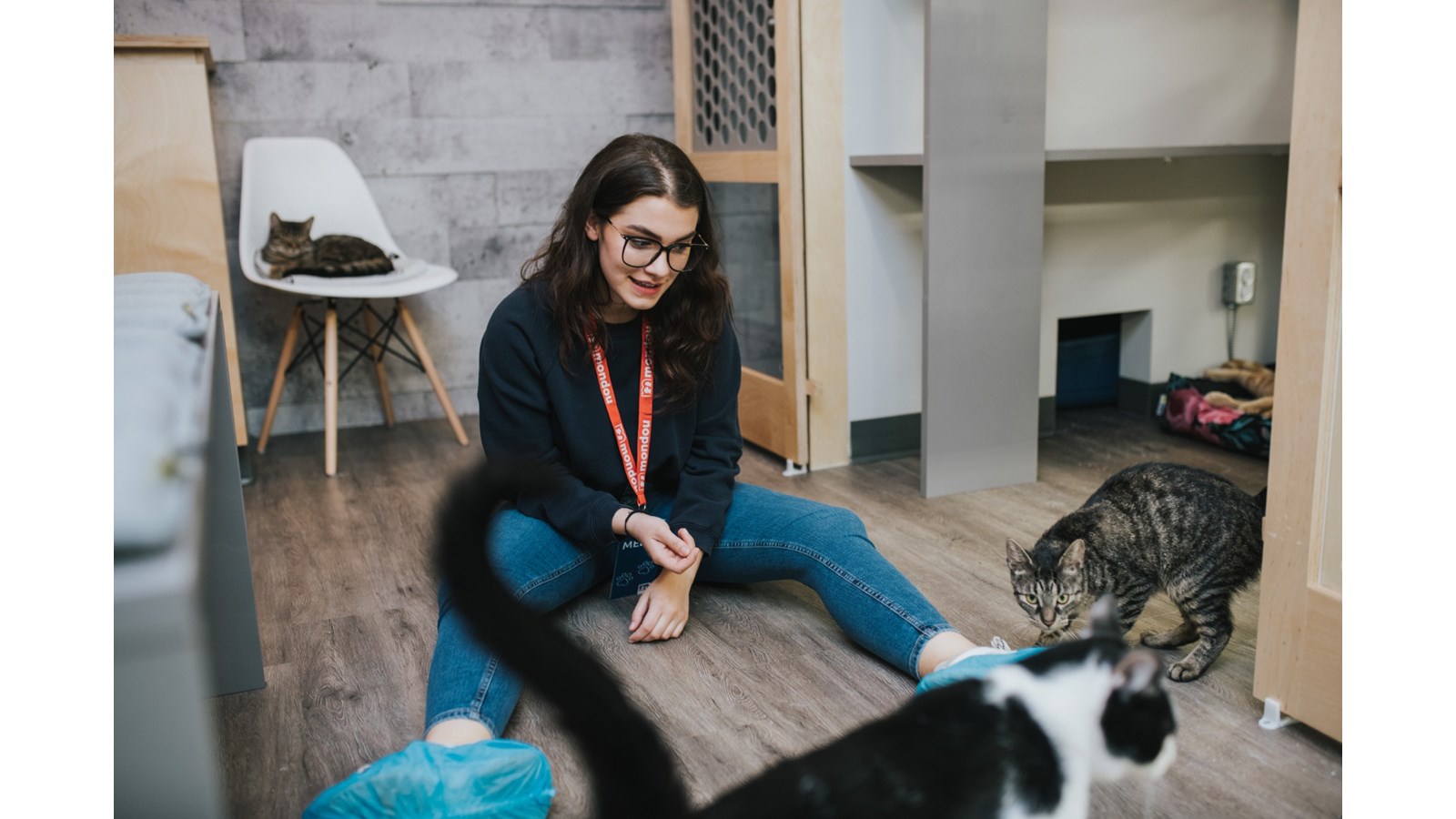 Mondou inaugure un tout nouveau concept à son magasin de Saint-Jérôme : la zone adoption