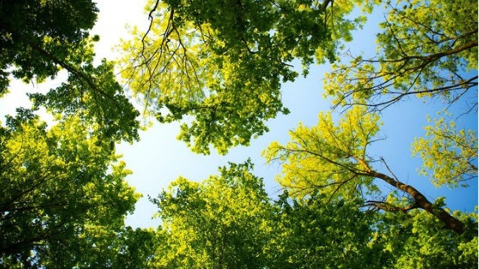Ouverture de la saison estivale au  Parc régional du bois de Belle-Rivière