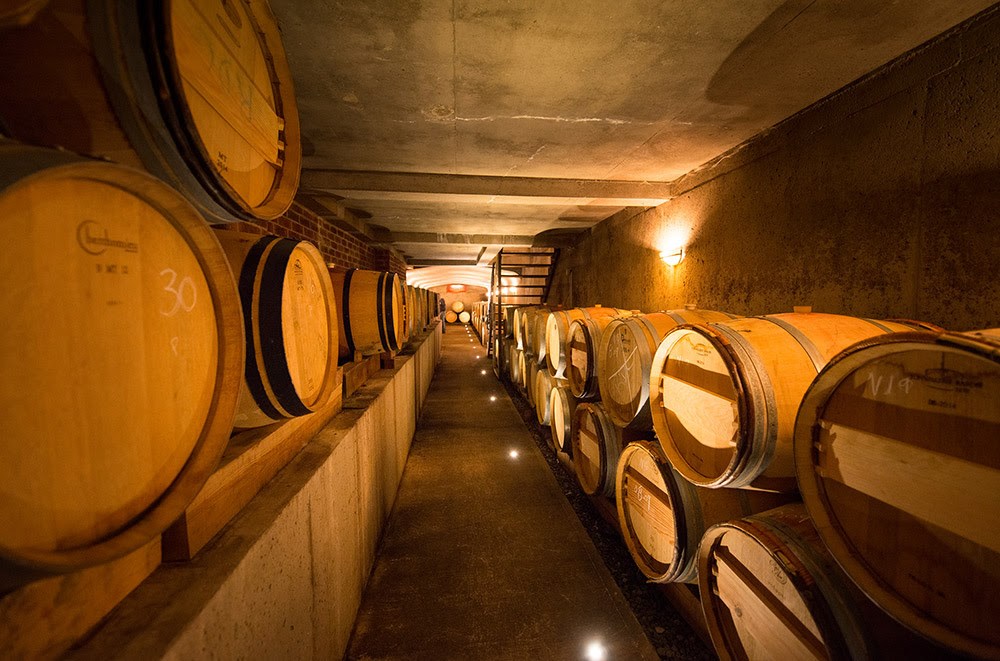 Le Vignoble Rivière du Chêne dévoile sa programmation savoureuse et riche en activités 