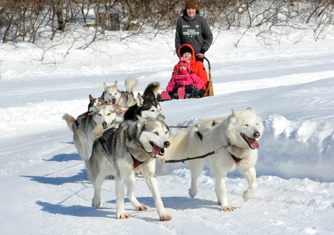 C’est la Journée Plaisirs d’hiver à Sainte-Thérèse