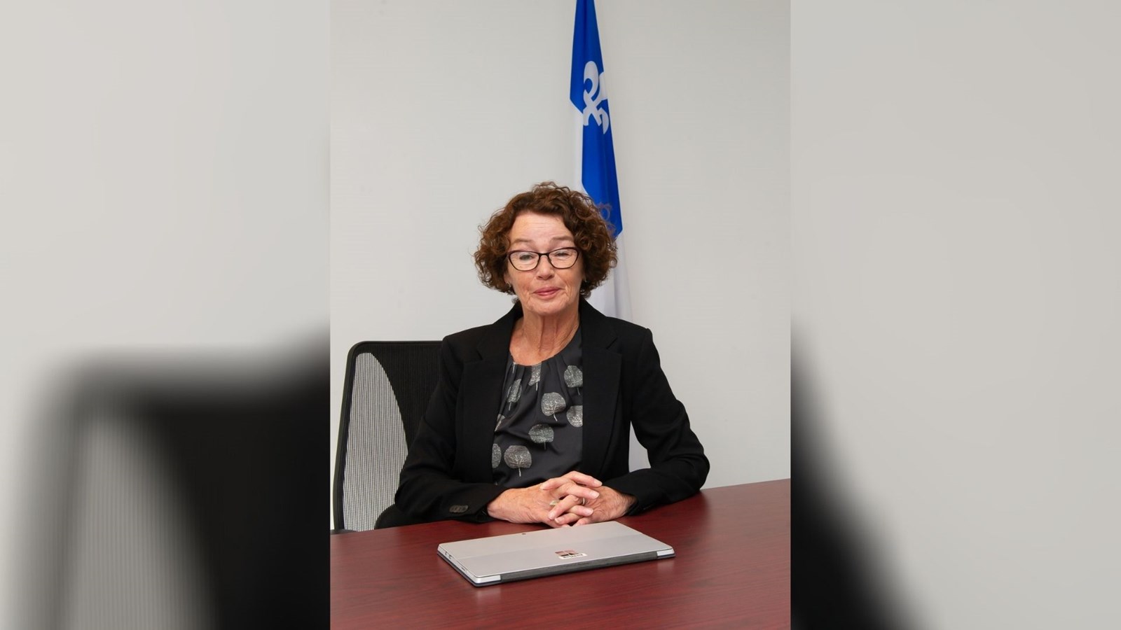 Conférence virtuelle sur l’assurance-emploi avec les députées  Louise Chabot et Marilène Gill : une réussite 