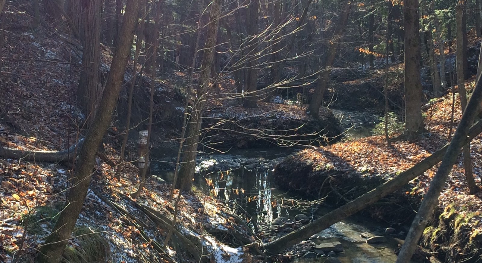 Début des travaux de stabilisation des talus du ruisseau Lamothe 