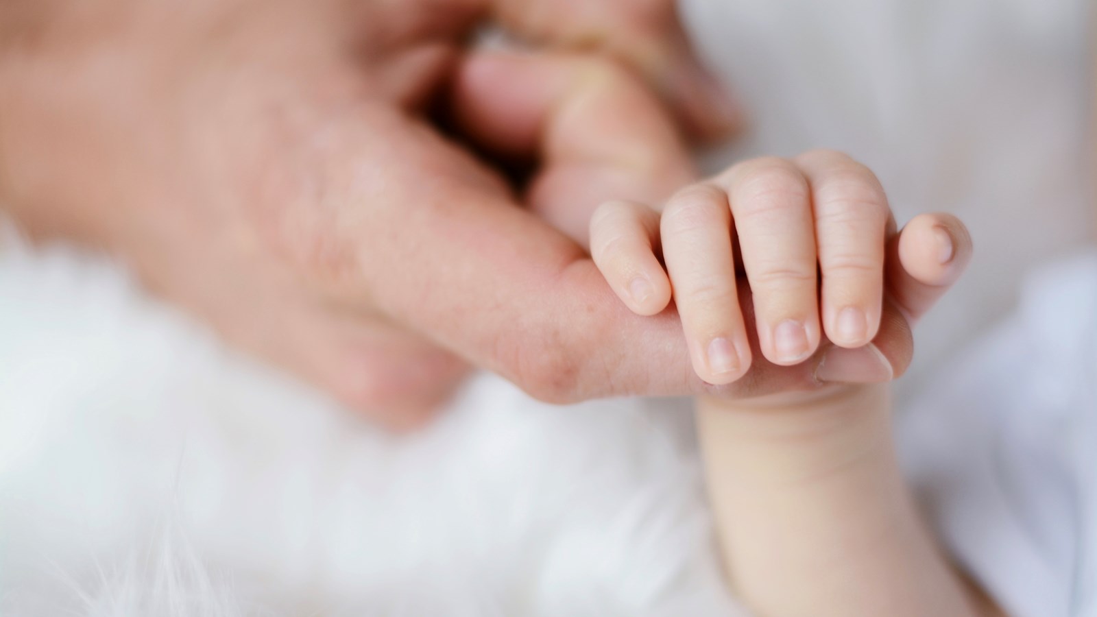 Discussions virtuelles présentées en direct pour les futurs parents des Laurentides  