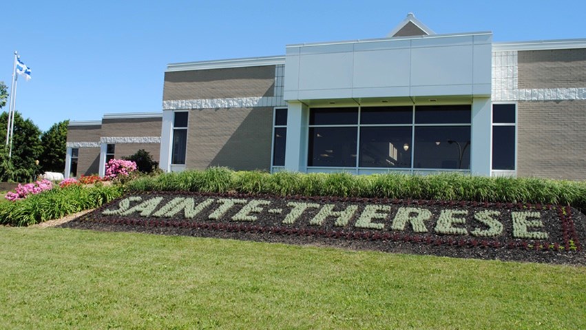 Sainte-Thérèse offre un programme aux citoyens pour le remplacement de frênes abattus