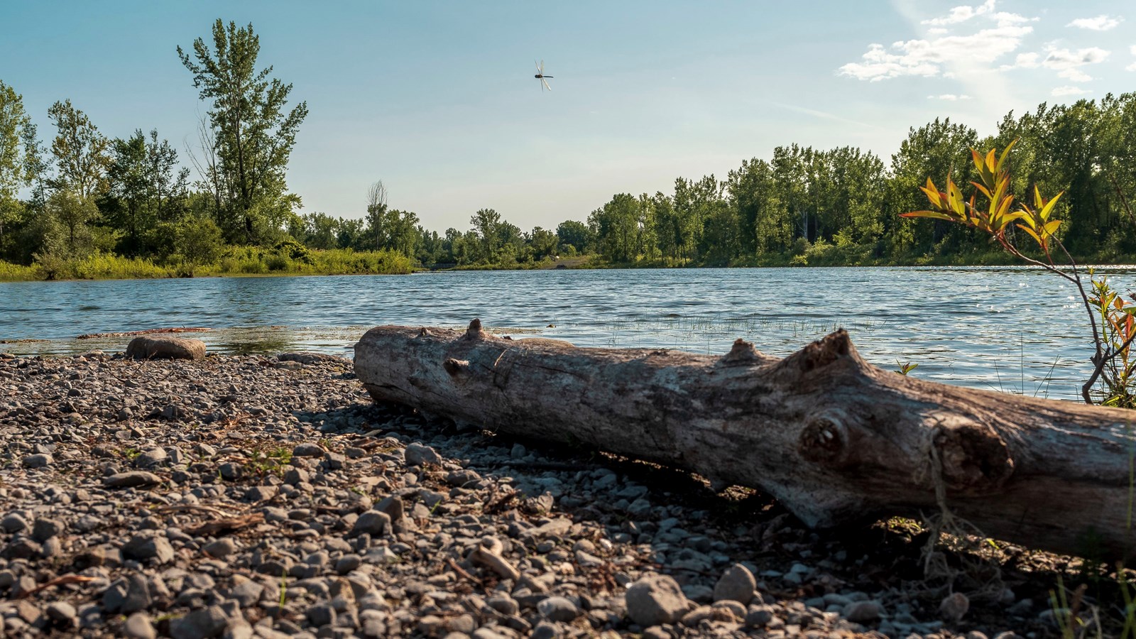 L’Espace pour la vie aux lacs Fauvel 