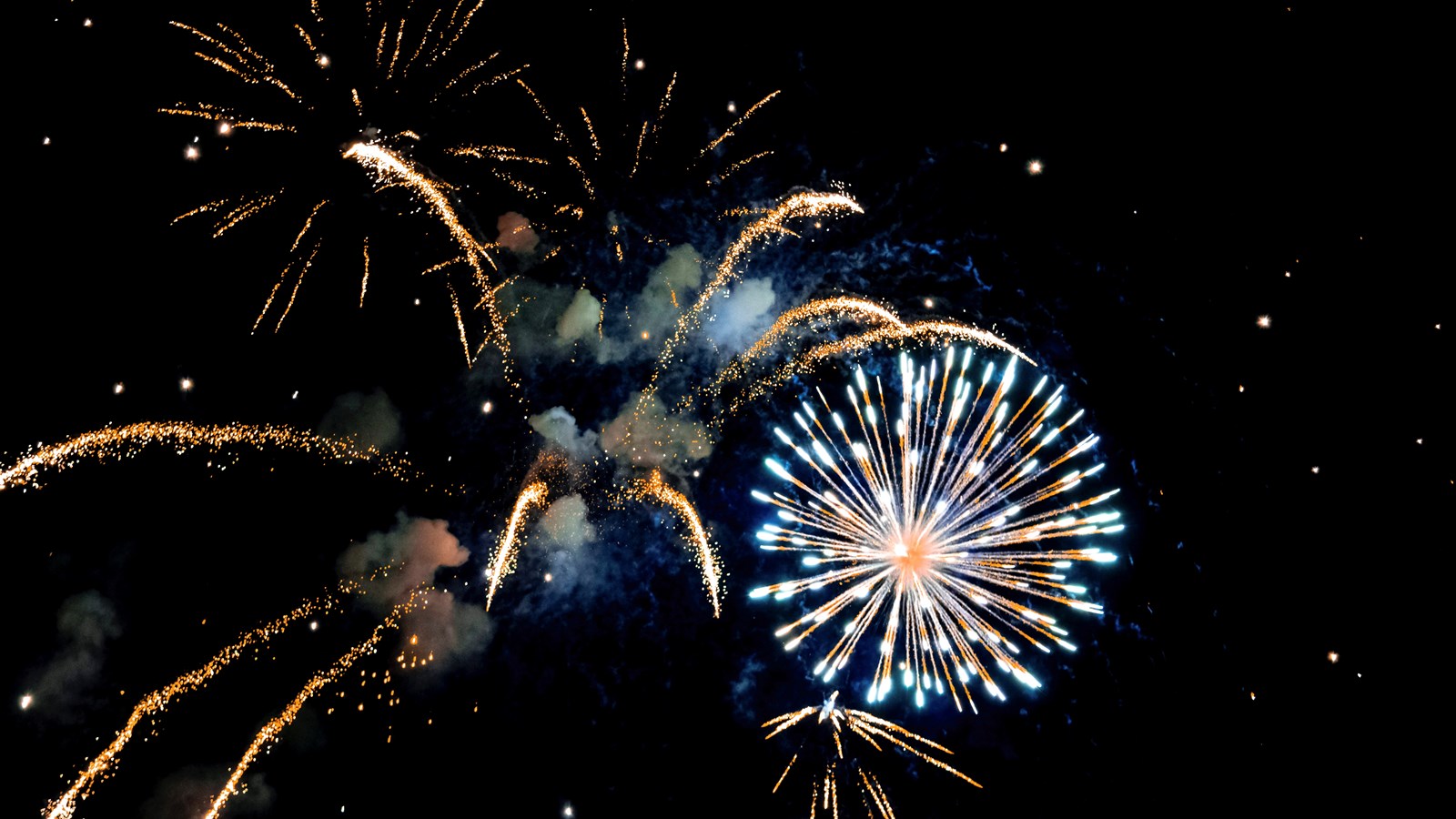 Fête de la famille à Lorraine