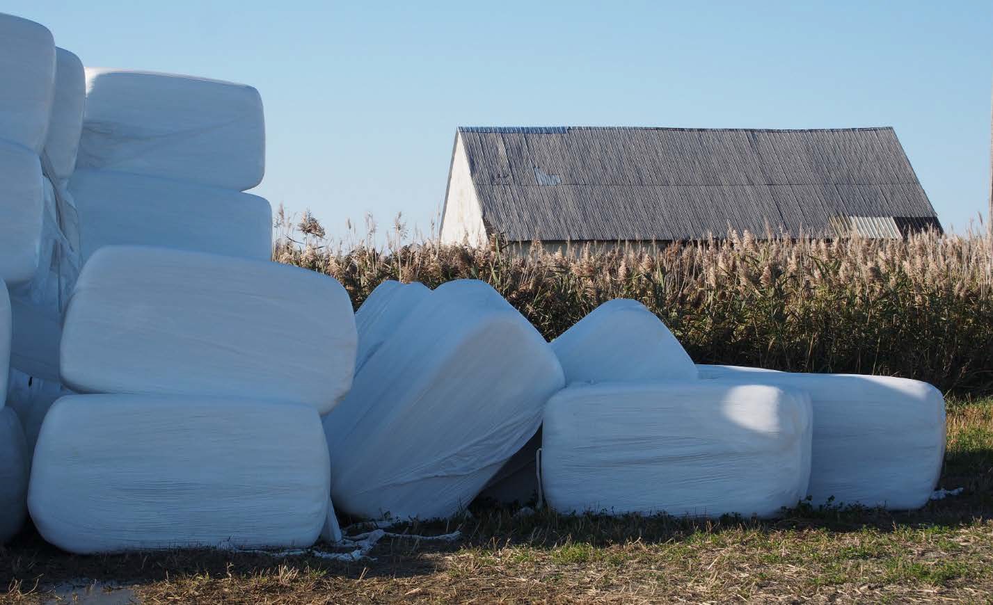Omniprésence des pellicules plastiques dans les Laurentides