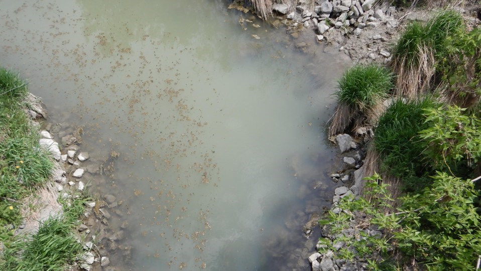 Abrinord continue d’échantillonner les cours d’eau de son territoire, un suivi entamé en 2010